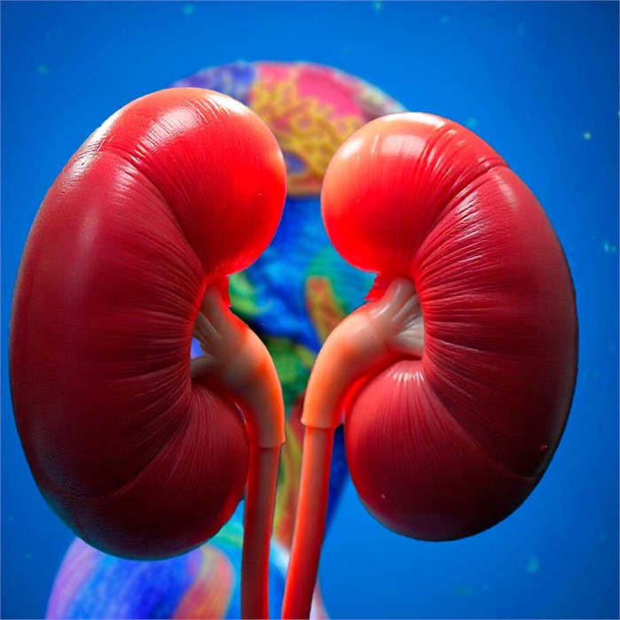 Курс - Избавься от отеков (Синдром и Беженец) 1677